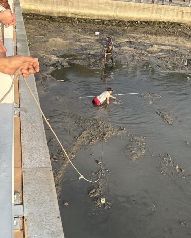 圖2、一起拉繩索將翻車魚拖出泥中