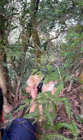 圖1、民眾帶犬隻爬山也要繫妥牽繩避免危險