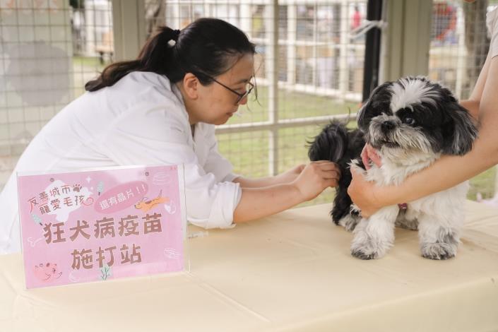 圖7、動保處在「狗狗春遊趣」活動提供免費施打狂犬病疫苗服務