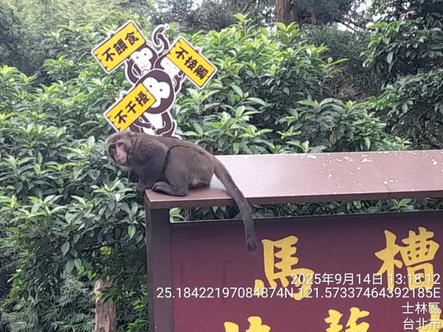 圖二、馬槽的獼猴三不原則宣導牌