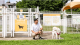 圖3 飼主與狗狗開心於華山公園狗活動區互動