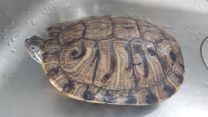 20251109_104330_IRZdOu