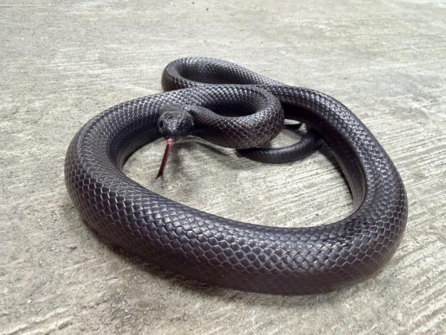 messageImage_1763023595954