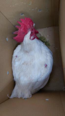 20251231_093529_ZCHgYz