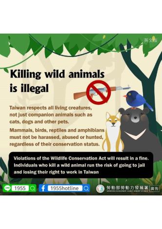 勿違法射殺動物 (3)