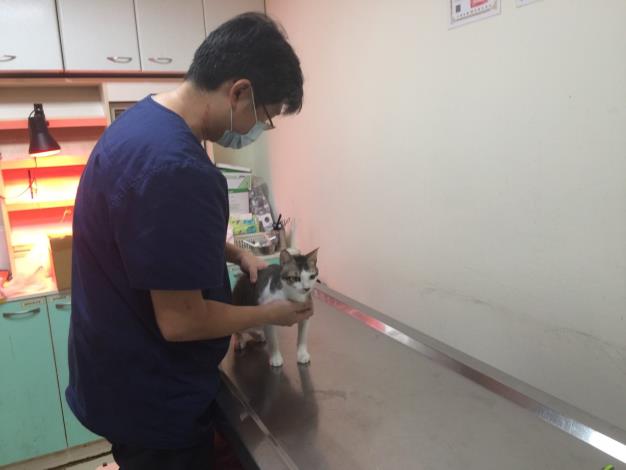 Fig_3：Veterinarian_keep_attending_TAS_during_Chinese_New_Year