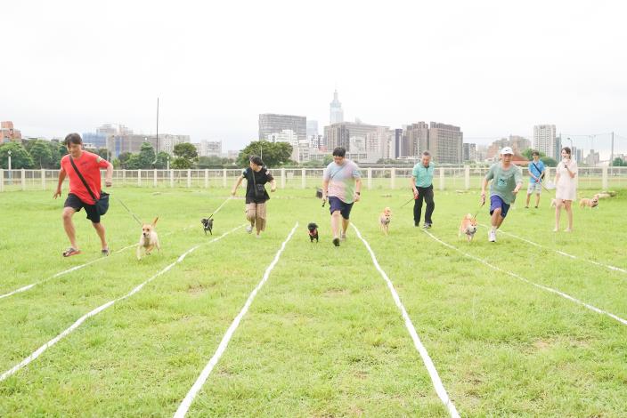 圖5、狗狗與飼主全員衝刺「飛毛腿短跑競賽」