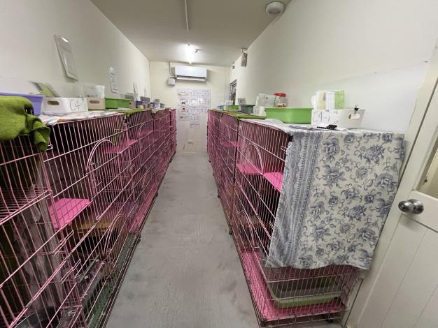 Figure 1. The cat housing space before renovation