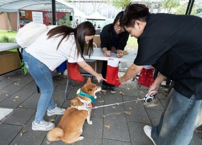 Photo4. A dog uses its scenting skills to locate a hidden Christmas stockin