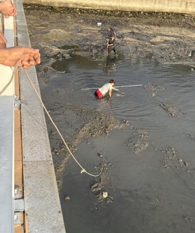 Figure 2＿ Working together to pull the Ocean Sunfish out of the silt using ropes