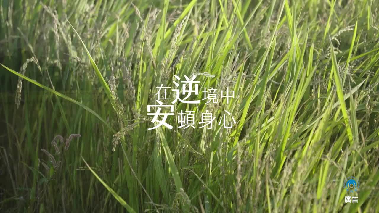 內政部國籍歸化- 在逆境中安頓身心