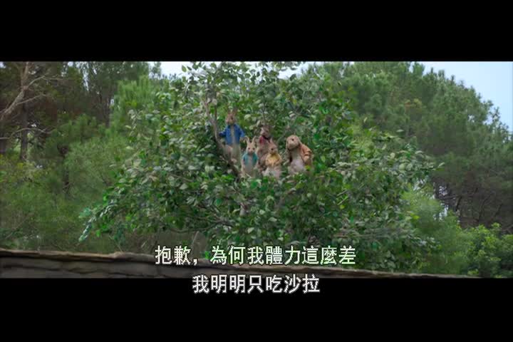 1201-比得兔Peter Rabbit