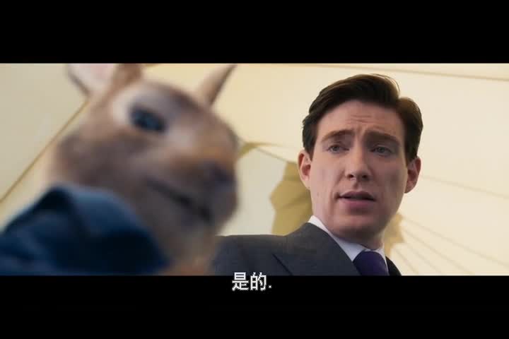 1208-比得兔2 Peter Rabbit 2