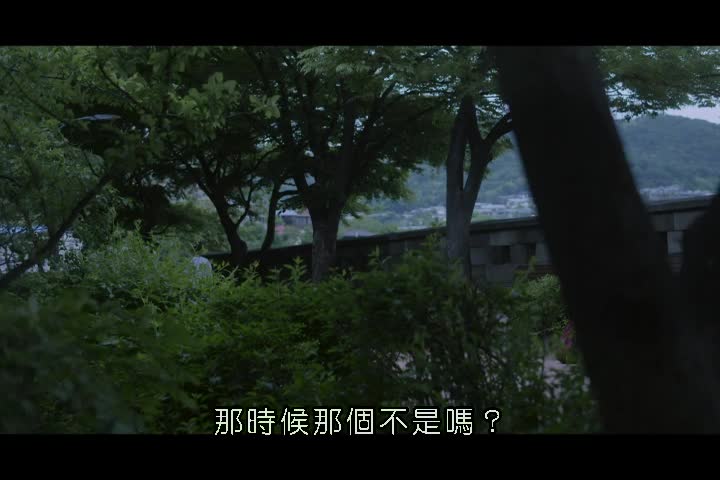 0614-山道男人的浪漫 Annapurna