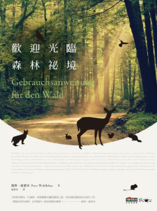 歡迎光臨森林祕境 封面