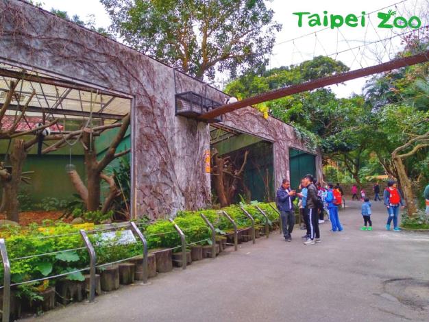 下次有機會造訪兒童動物園區，路過狐猴活動場時，記得擡起頭看看上方的廊道，或許剛好有狐猴經過唷！