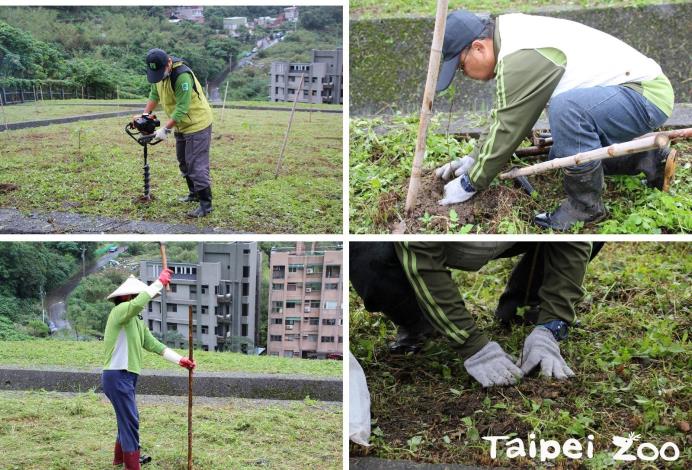 園區內植栽修整