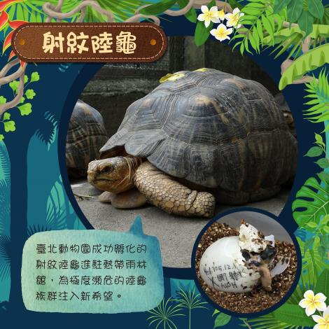 11幅精彩的動物寫真大放送，讓您珍藏或分享好友皆相宜