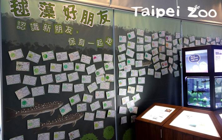 毬藻展示場旁布置許多毬藻著色卡，是臺灣的大小朋友給予毬藻熱烈的歡迎與祝福