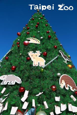 臺北市立動物園搭起了近六公尺高的聖誕樹，讓園區裡頓時滿溢溫馨的聖誕氛圍