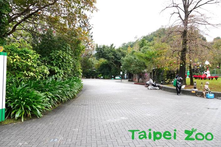 近期走在臺北市立動物園園區時，路邊的草叢中，就不時傳出低沉的鳴叫聲
