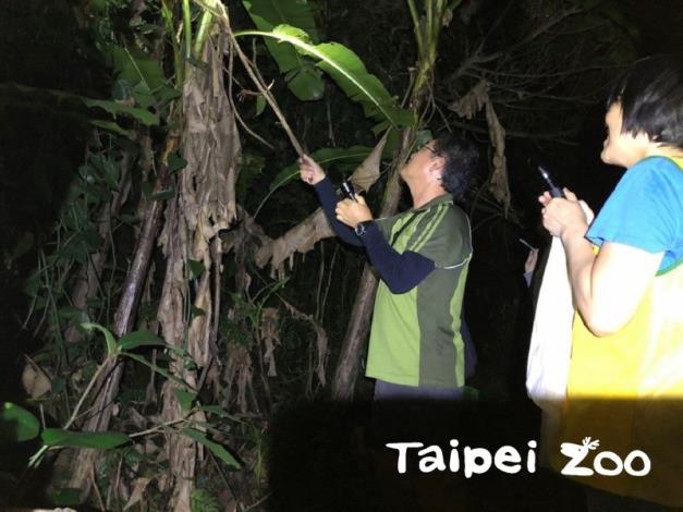 每個月的第二個週五的晚上，研究人員帶領志工朋友們，在動物園內各處進行野外蛙類調查