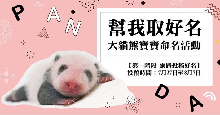 「幫我取好名〜大貓熊寶寶命名活動」