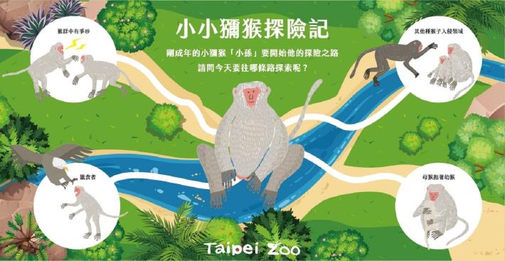 《聲音之美生物特展》-小小獼猴探險記