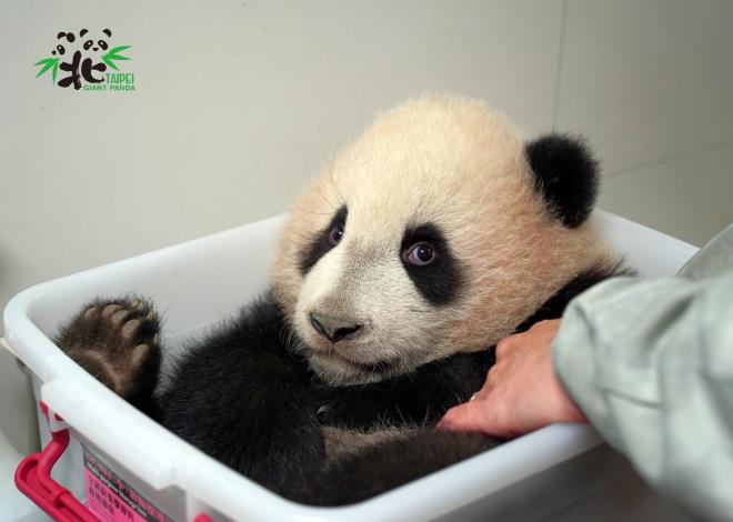 拜託嘛！再坐一下就好