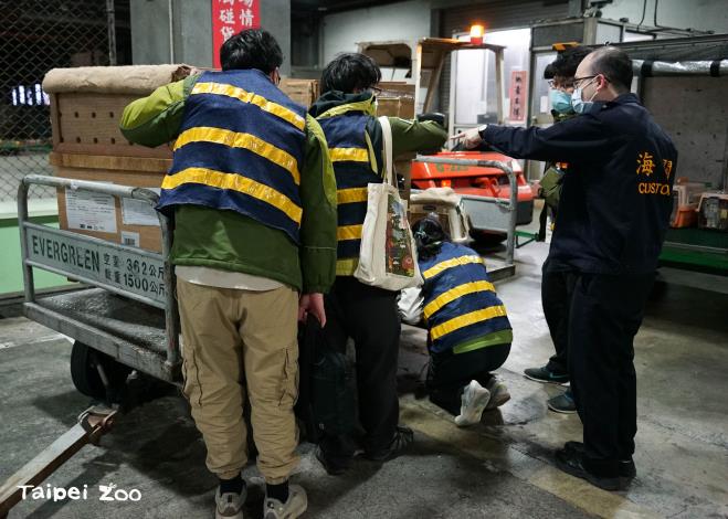 照養團隊接機並確認動物的狀況