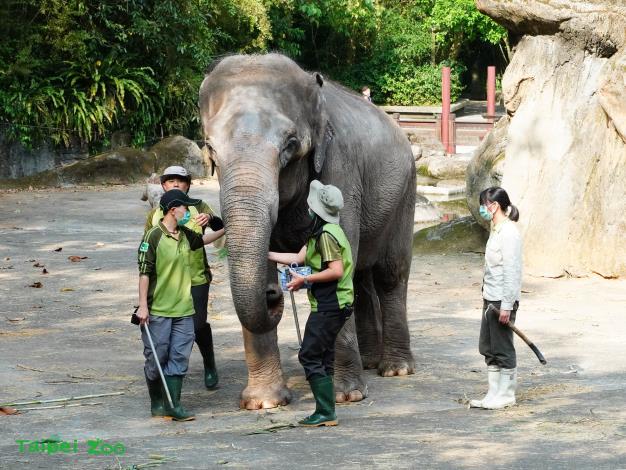 保育員每天都會仔細觀察「友愷」的各種行為