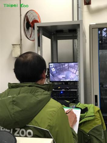 當大部分員工早已下班的夜晚，卻有一群保育員還待在辦公室裡，不管外面的蟲鳴鳥叫有多麼吸引人，他們卻只緊盯著監視器，觀察「友愷」在動物欄舍的一舉一動(陳依婷攝）