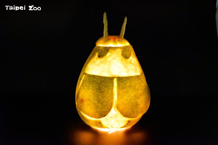 提示：動物3發光器上的鋸齒狀鱗片，可以增加光的反射次數，來發出更明亮的光，人類也將類似的結構應用在LED上，來減少能源的消耗。