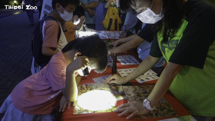 星期六的夜晚來動物園探索野生動物的奧秘