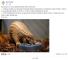 布拉格動物園嘗試轉移媽媽「潤喉糖」的注意力，將寶寶帶出來來進行人工哺育餵食（截至布拉格動物園粉絲專頁）