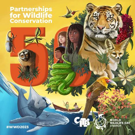 今（2023）年的主題是「野生動植物保育夥伴關係」，邀請大家一起為曾對野生動植物做出貢獻的人致敬（圖片來源：www.wildlifeday.org，作者：Xavi Reñé ）