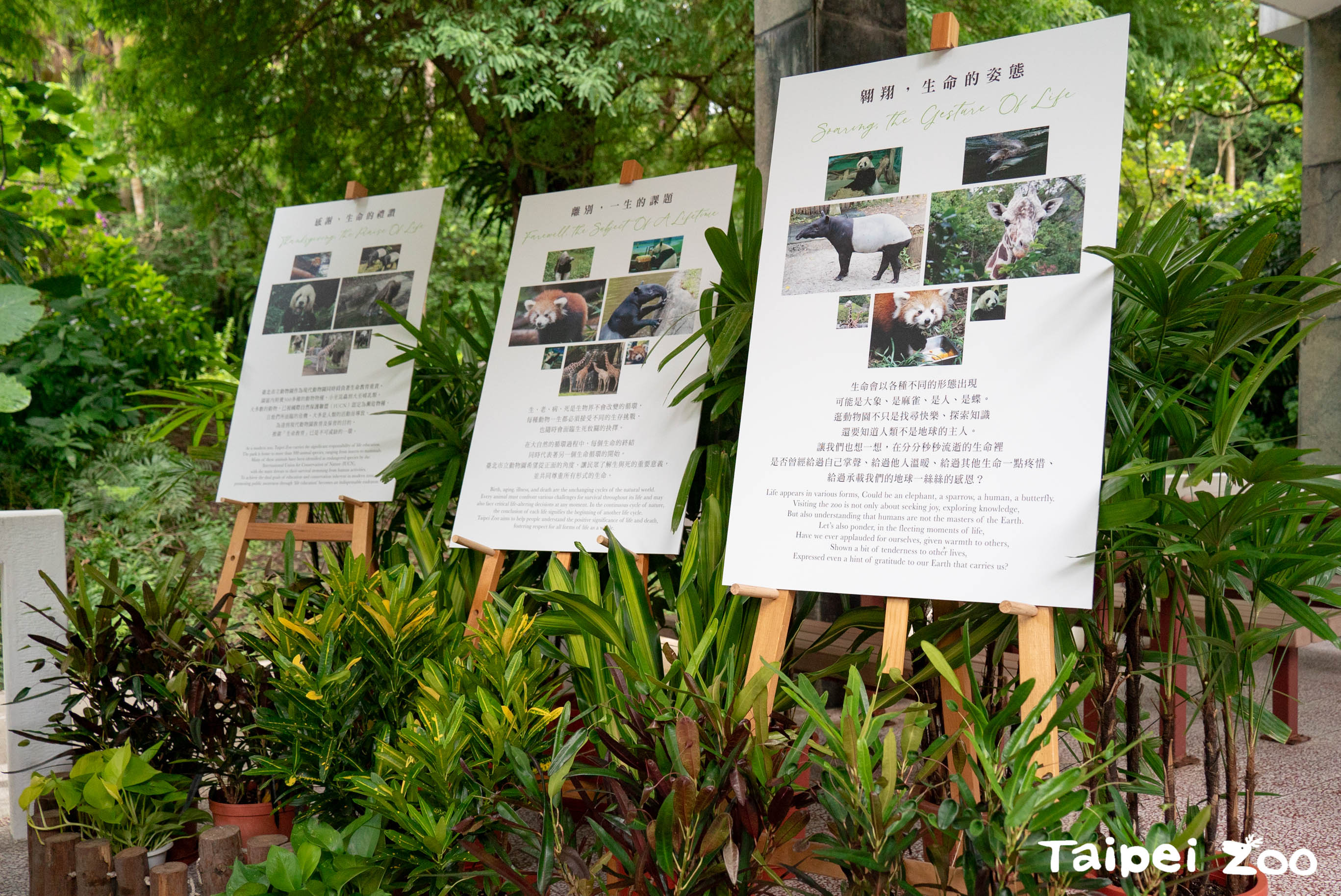 臺北市政府全球資訊網-市府新聞稿-感念逝去的生命，一起向生命學習