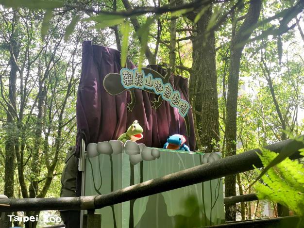 平常生活在高山的山椒魚，經過特展來到臺北市立動物園