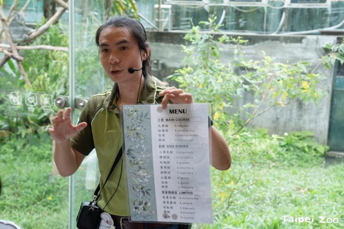動物園無尾熊館館長透過保母講古解說無尾熊食性