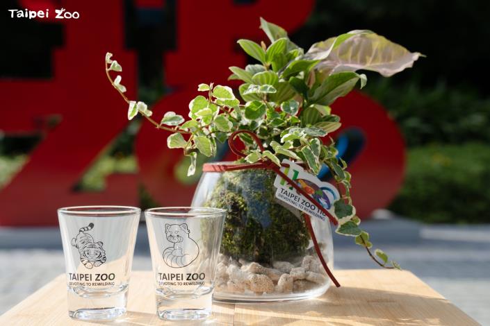 七夕當天還有限量手作苔球活動（需事先報名）