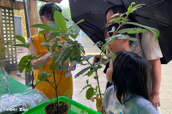 臺北市立動物園駐站