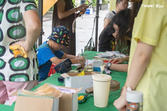 臺北市景美女中，挑戰走出迷宮破解毛毛蟲蛻變成蝴蝶的機密！還有標本觀察，快來認識昆蟲吧