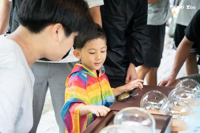 臺北市大直高中，藉由鍬形蟲與蝴蝶標本讓大家更具體的認識昆蟲構造，也介紹昆蟲消失會對人類造成甚麼影響