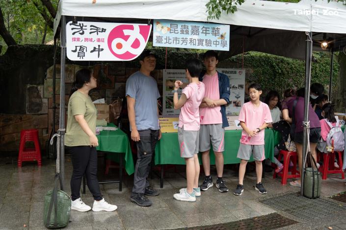 臺北市芳和實驗中學，同種甲蟲卻有不同「武器」？快來學習各式不同甲蟲「武器」的奧秘！