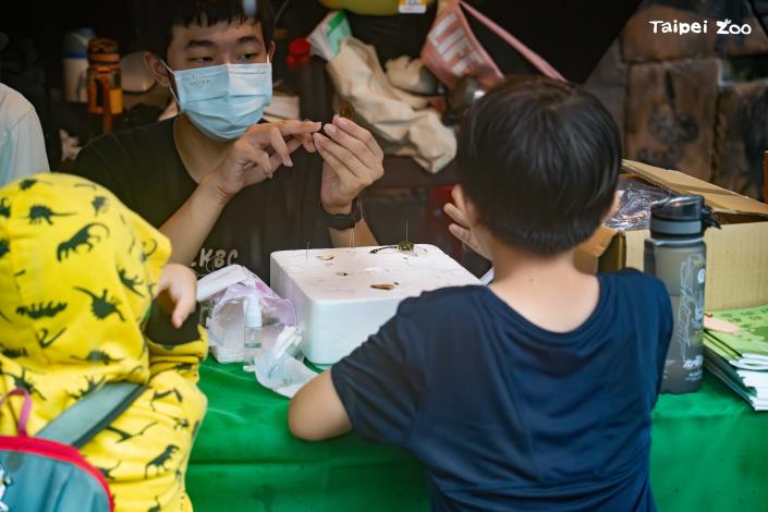 臺北市建國高中，藉由製作自己的蝴蝶標本，更加了解蝴蝶的各種小祕密