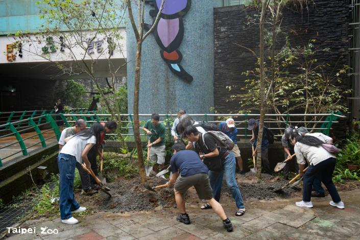 園長率貴賓種植光臘樹