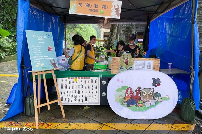 投雞取鍬雞蛋糕攤位