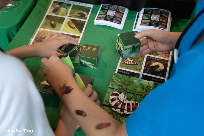 新北市崇德國小