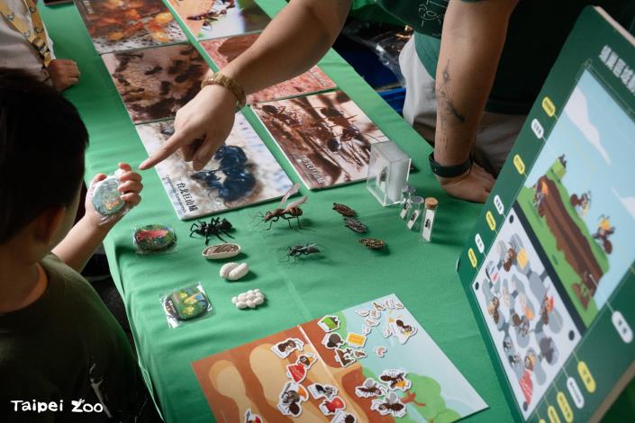 螞蟻生態博物館