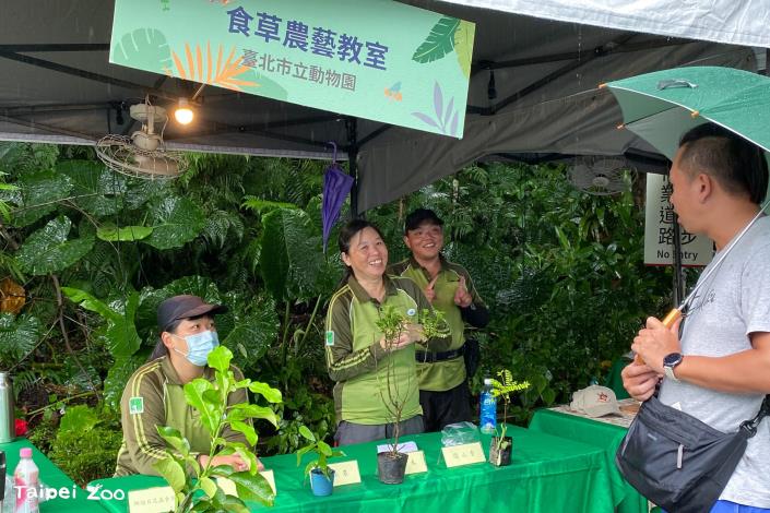 昆蟲食草小苗問答